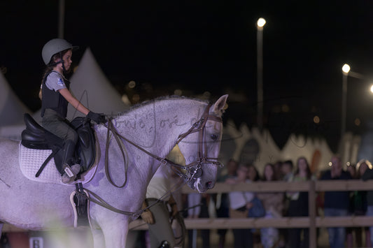 Stables "Fernando Oliveira" Demostration by Bruno Cavalinhos