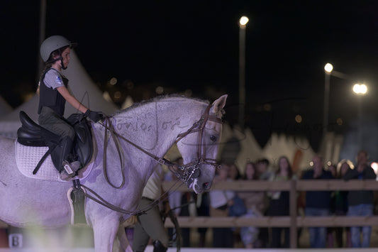 Stables "Fernando Oliveira" Demostration by Bruno Cavalinhos