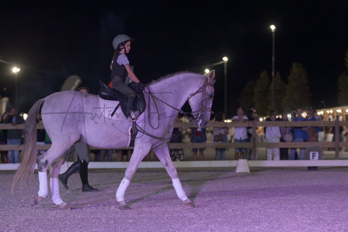 Stables "Fernando Oliveira" Demostration by Bruno Cavalinhos