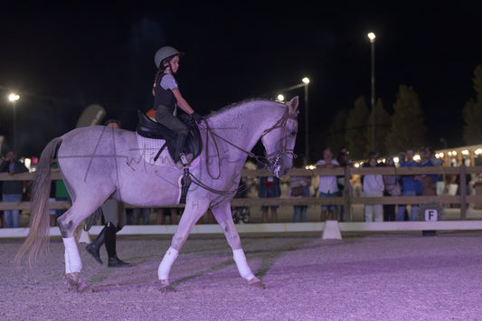 Stables "Fernando Oliveira" Demostration by Bruno Cavalinhos
