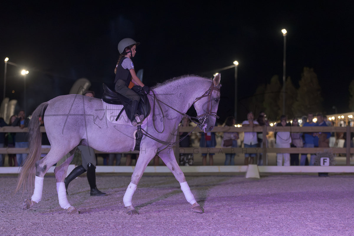 Stables "Fernando Oliveira" Demostration by Bruno Cavalinhos