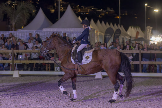Horse Riding School - Beginners Dressage