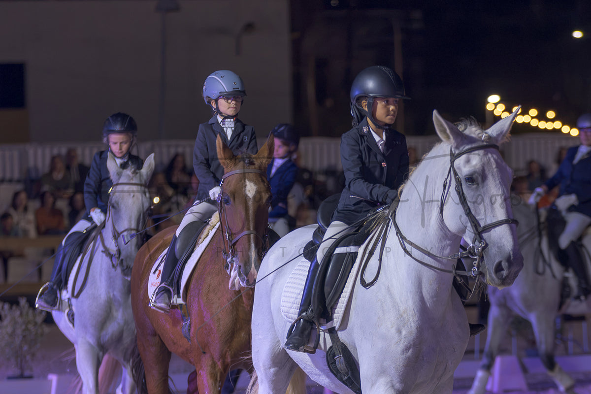 Horse Riding School