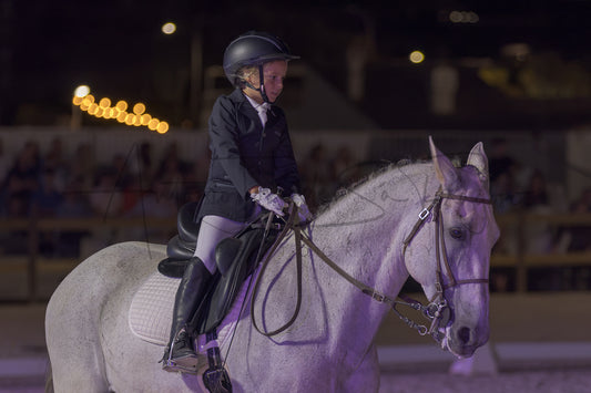 Horse Riding School - Beginners Dressage