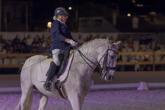 Horse Riding School - Beginners Dressage