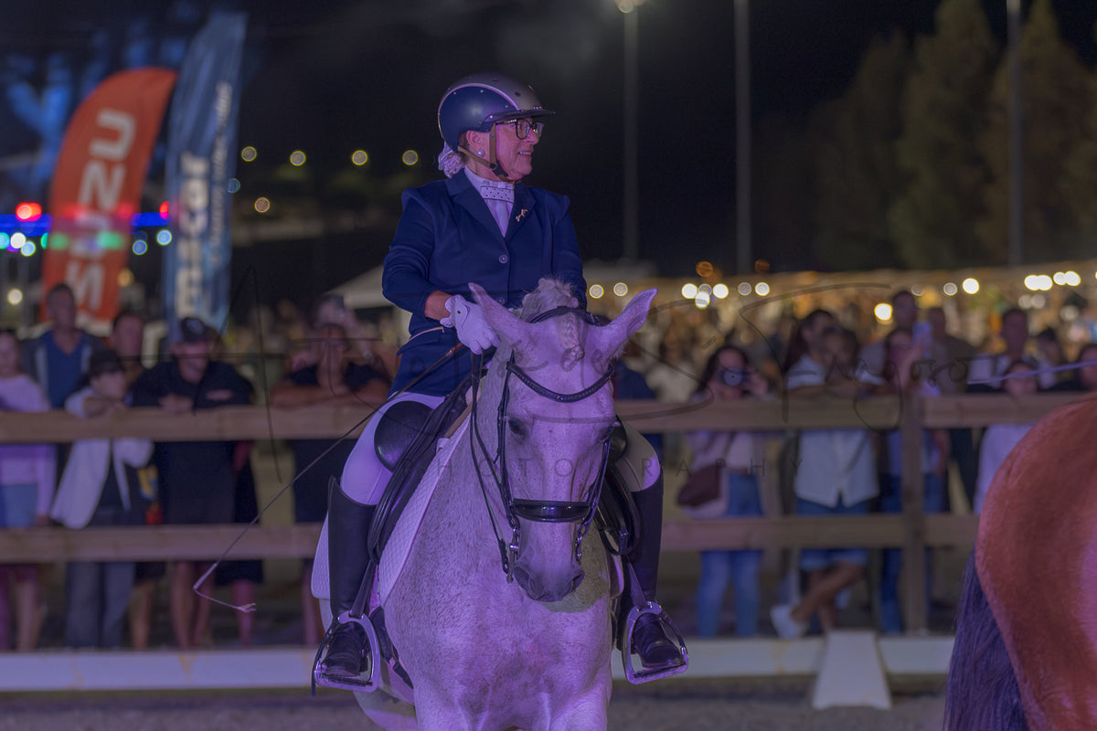 Horse Riding School