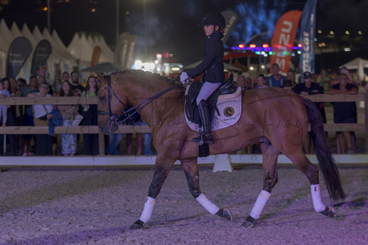 Horse Riding School - Beginners Dressage