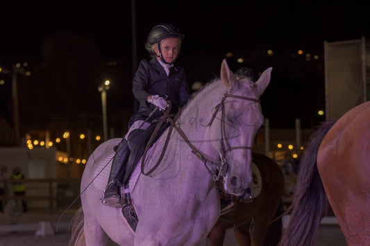 Horse Riding School - Beginners Dressage