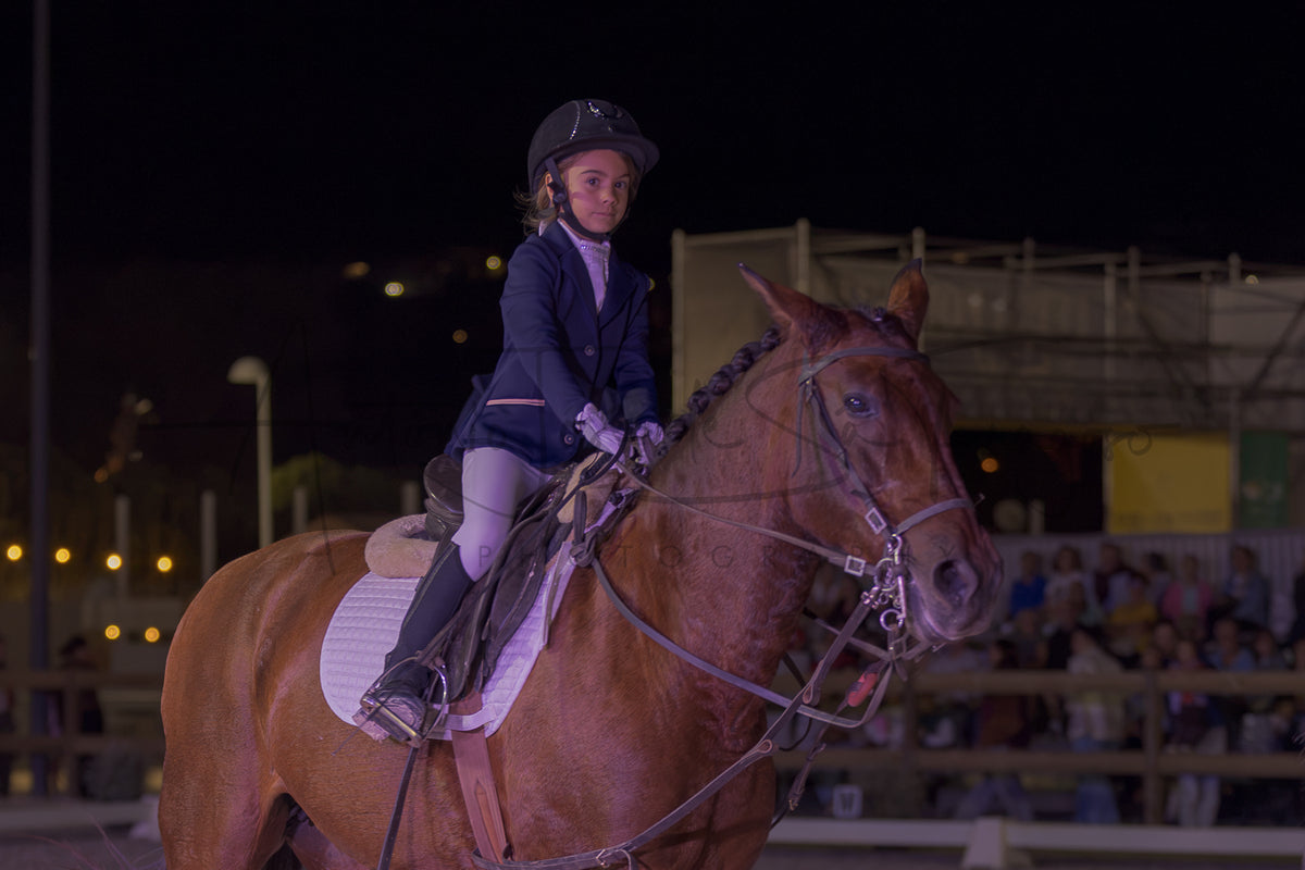 Horse Riding School