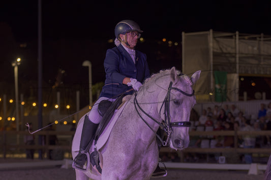 Horse Riding School - Beginners Dressage