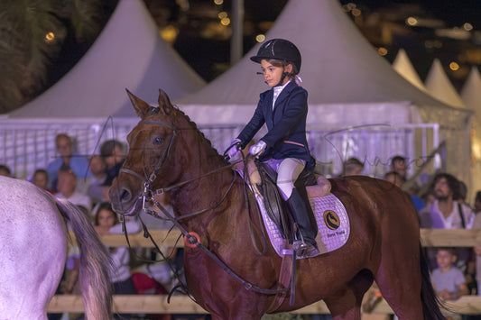 Horse Riding School - Beginners Dressage