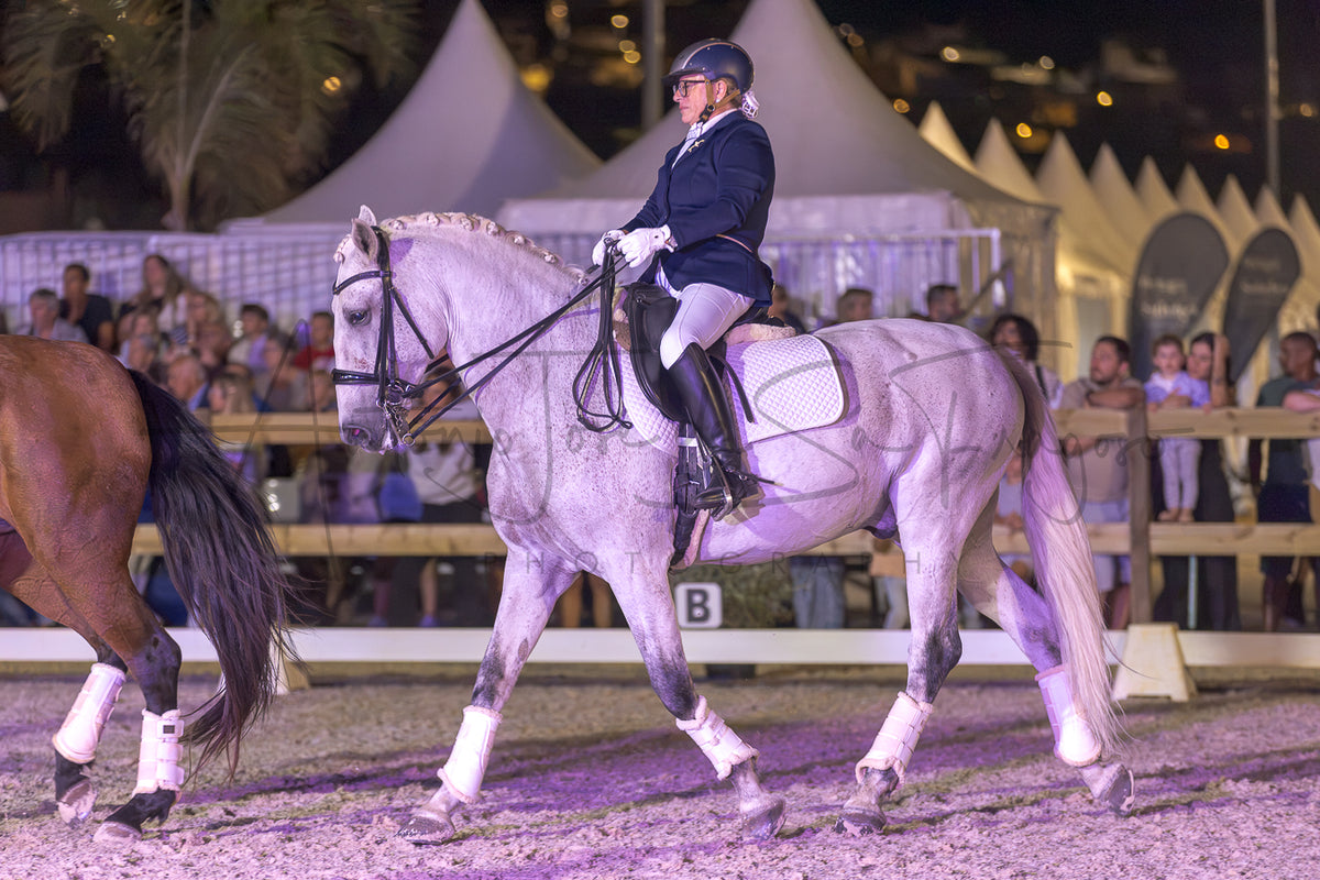 Horse Riding School
