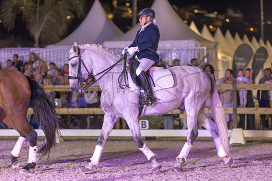 Horse Riding School - Beginners Dressage