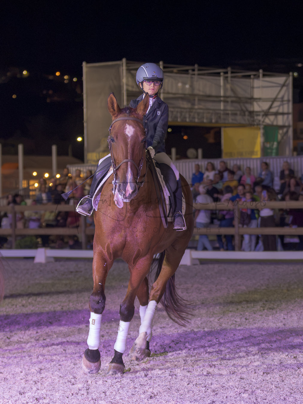 Horse Riding School