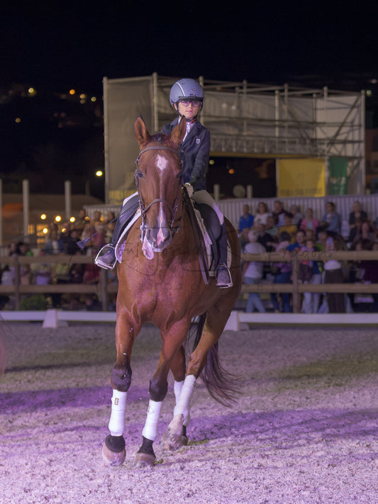 Horse Riding School - Beginners Dressage