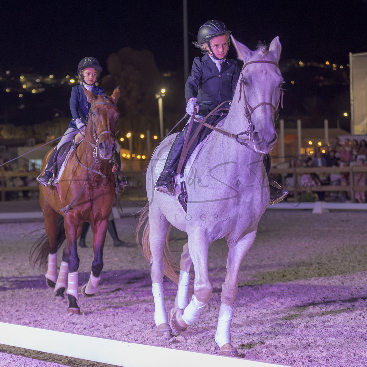 Horse Riding School