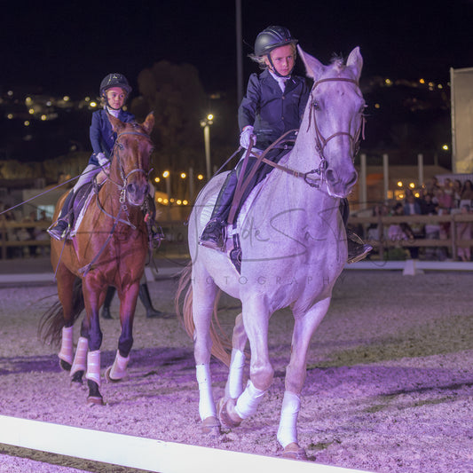 Horse Riding School - Beginners Dressage