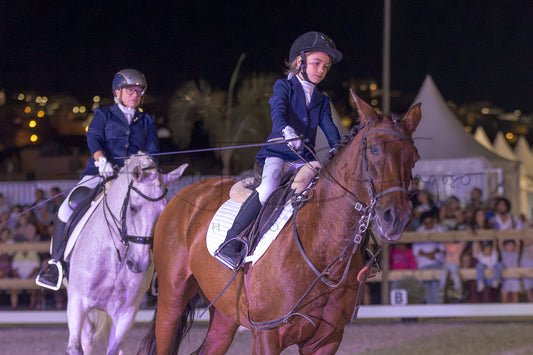 Horse Riding School - Beginners Dressage