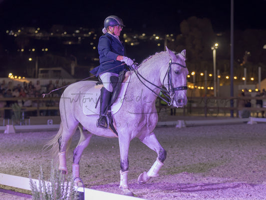 Horse Riding School - Beginners Dressage