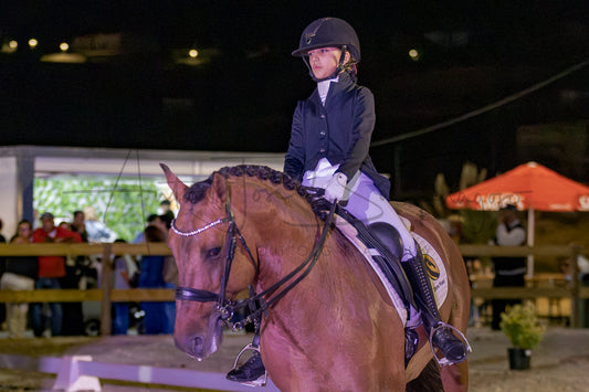 Horse Riding School - Beginners Dressage