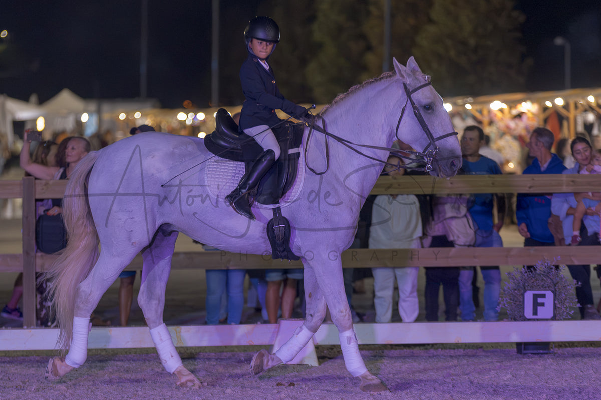Horse Riding School