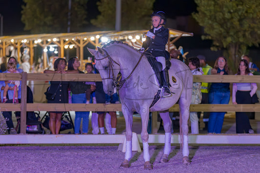 Horse Riding School - Beginners Dressage
