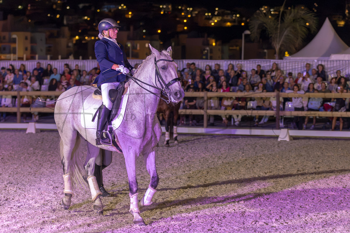 Horse Riding School
