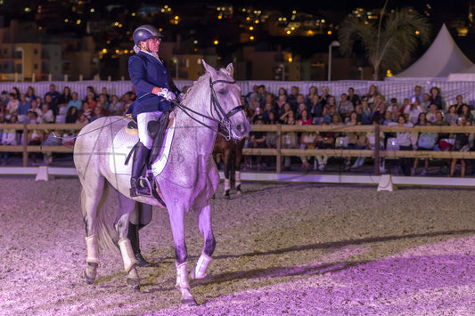 Horse Riding School - Beginners Dressage
