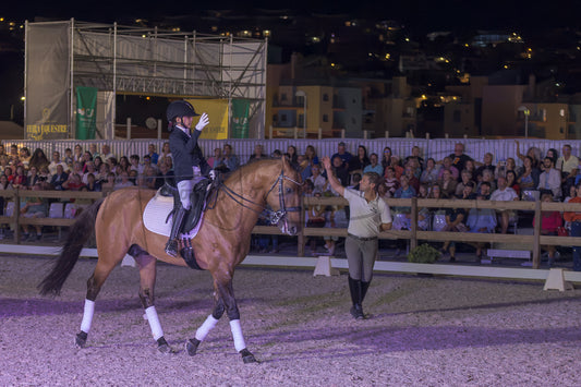 Horse Riding School - Beginners Dressage