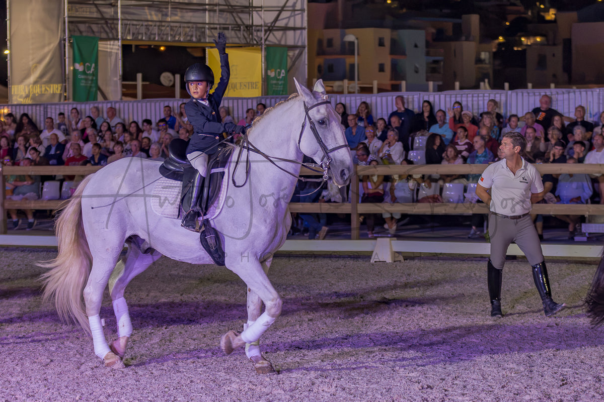 Horse Riding School