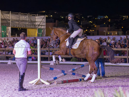 A horse rider on a brown horse jumps an obstacle in an equestrian arena at night, with a crowd of spectators in the background and an official standing nearby.