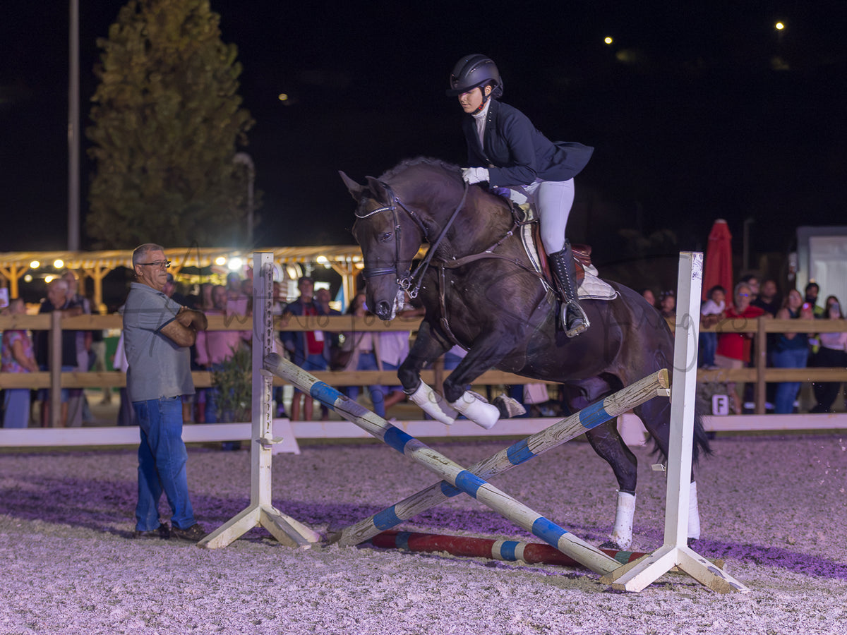 A dark brown horse jumps a white and blue equestrian obstacle in an outdoor night arena, with a rider in formal equestrian attire on the horse and spectators visible in the background.