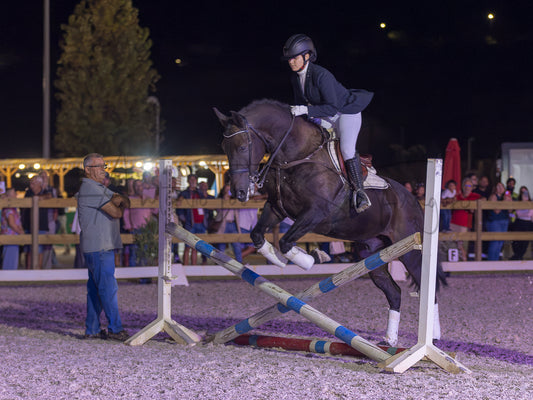 A dark brown horse jumps a white and blue equestrian obstacle in an outdoor night arena, with a rider in formal equestrian attire on the horse and spectators visible in the background.