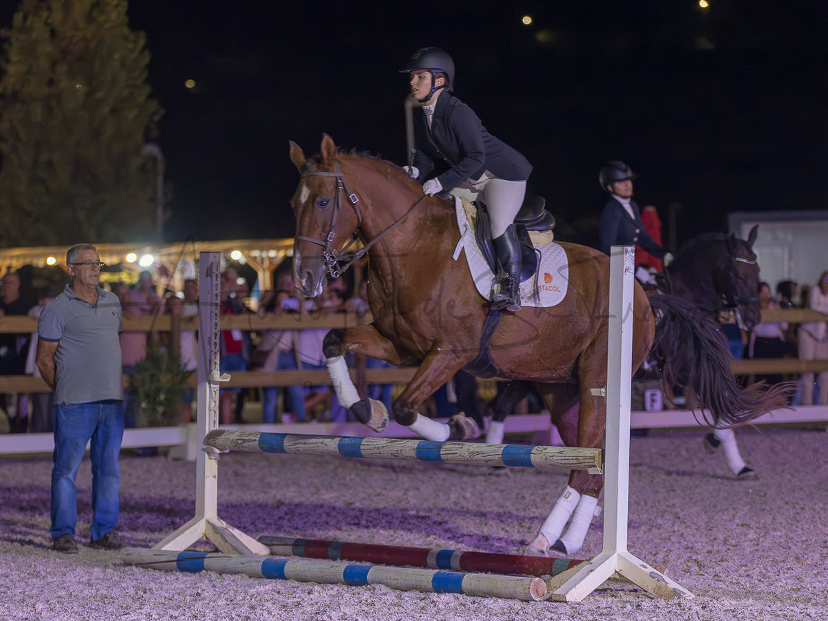 A brown horse jumps a white and blue show jumping fence at night in an equestrian arena, with a rider in dark attire on horseback and spectators visible in the background.