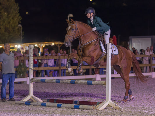 A brown horse jumps a show jumping obstacle at night while being ridden by a equestrian in a dark green jacket and white breeches, with spectators watching in the background.