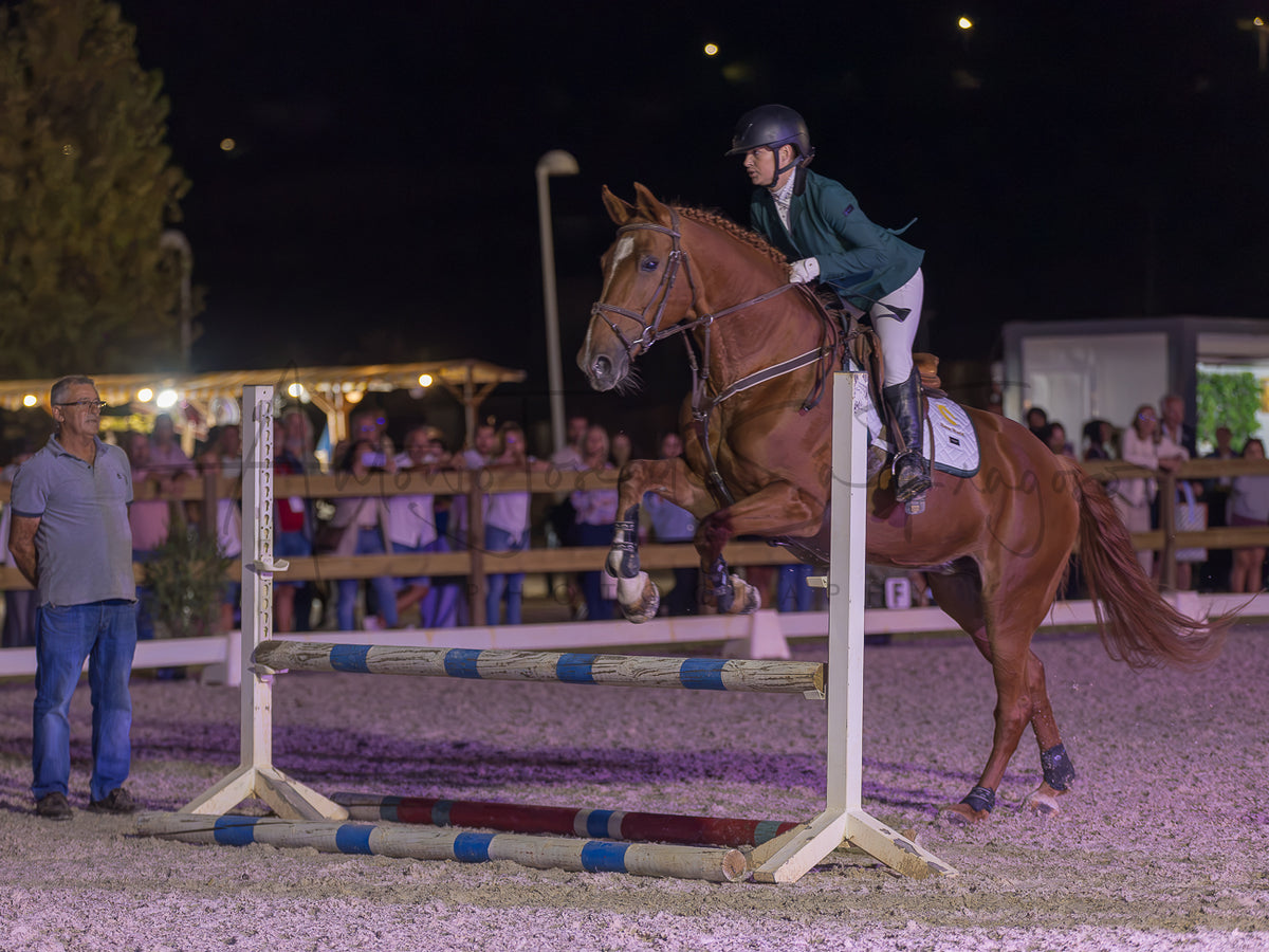 A brown horse and rider jump a show jumping obstacle at night in an equestrian arena, with spectators and officials visible in the background.