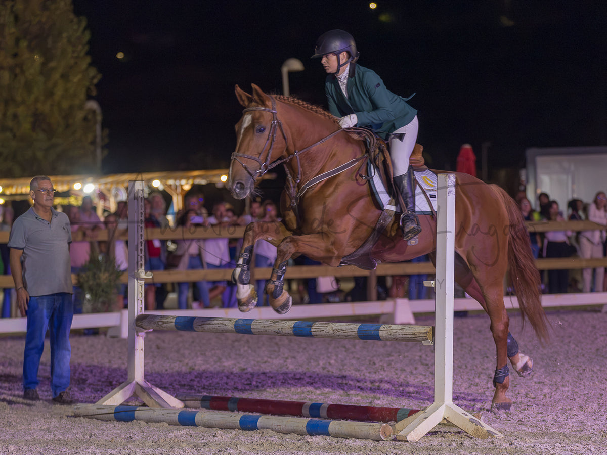 A horse jump competition at night, showing a brown horse jumping a white and blue striped obstacle with a rider in a green jacket and white breeches, with spectators and a judge in the background.