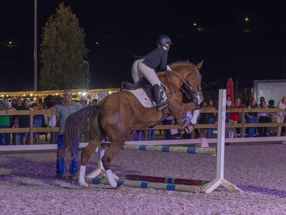 A horse show jumping competition at night in an arena, with a rider on a brown horse mid-jump over a striped obstacle, with spectators and officials in the background.