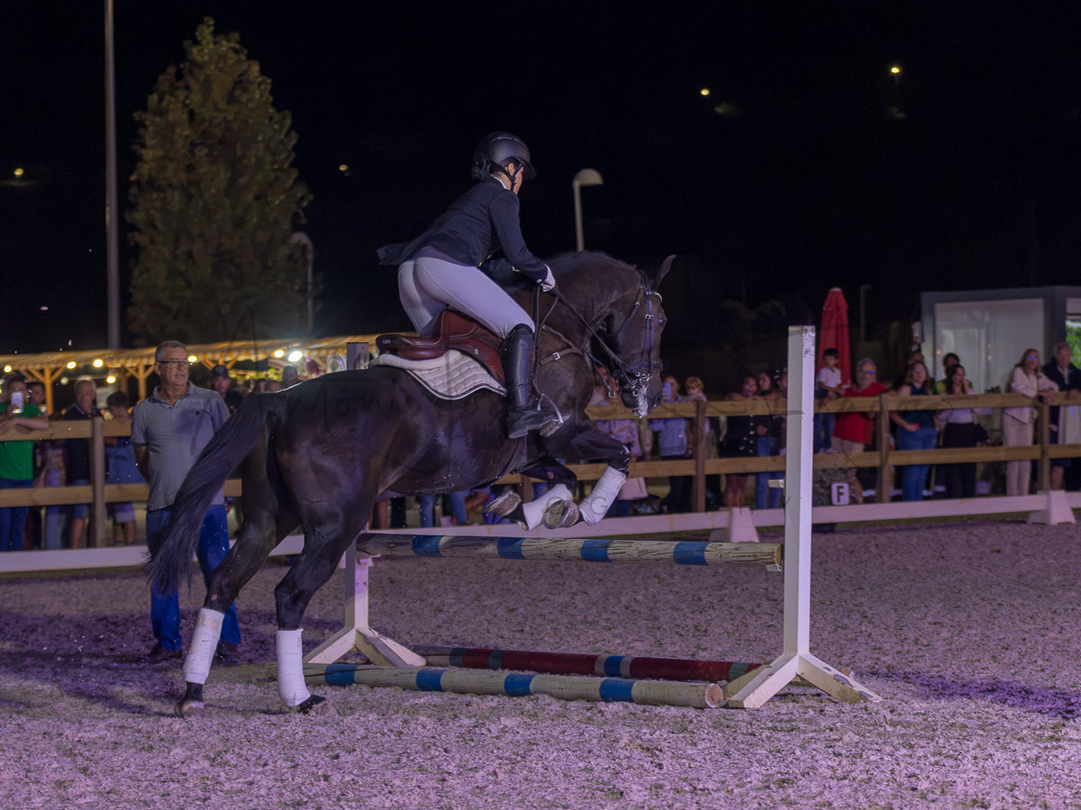 A dark horse jumps a show jumping fence in an outdoor night arena, with a rider in equestrian attire on its back. Spectators are visible behind wooden barriers in the background under artificial lighting.