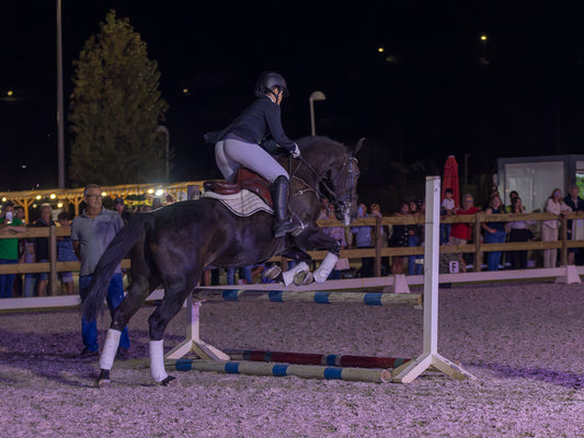 A dark horse jumps a show jumping fence in an outdoor night arena, with a rider in equestrian attire on its back. Spectators are visible behind wooden barriers in the background under artificial lighting.