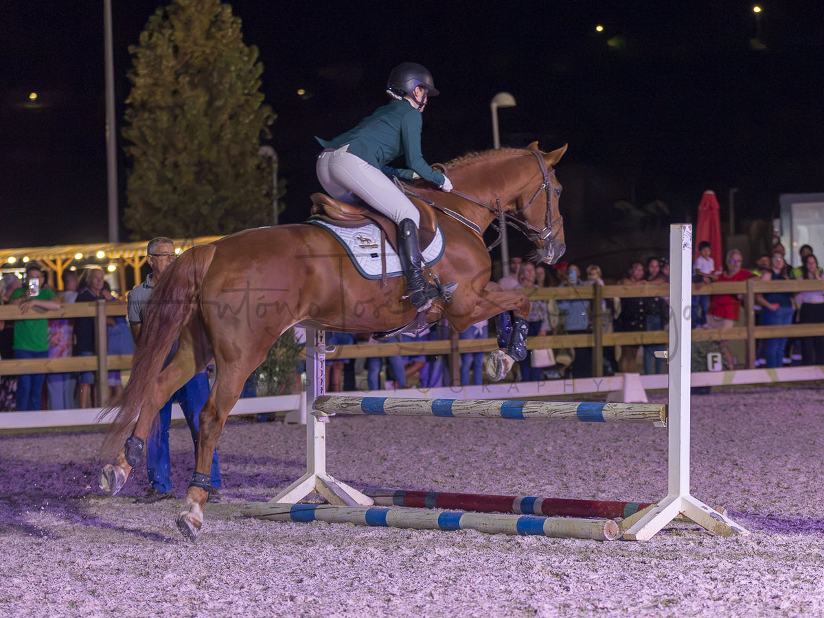 A horse show jumper in action at night, with a rider in a dark green jacket and beige breeches sitting on a chestnut horse mid-jump over a white and blue striped obstacle in an equestrian arena.