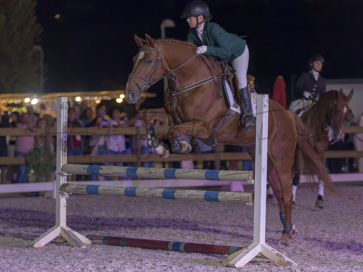 A horse rider on a brown horse jumps a show jumping obstacle at night in an equestrian arena, with spectators visible in the background.
