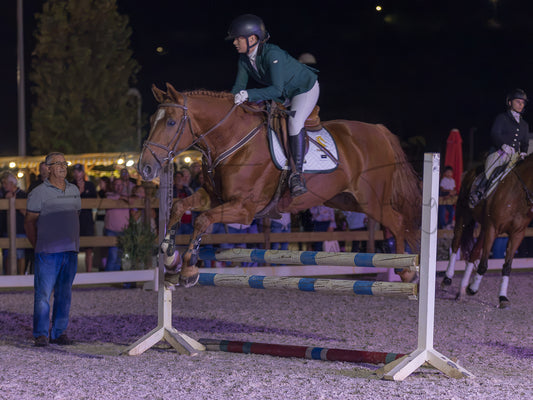 A horse rider on a brown horse jumps an equestrian obstacle at night in an arena, with spectators and another horse visible in the background.