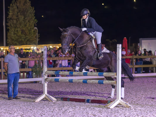 A dark brown horse jumps an equestrian obstacle at night in an outdoor riding arena, with a rider in formal equestrian attire and spectators visible in the background.