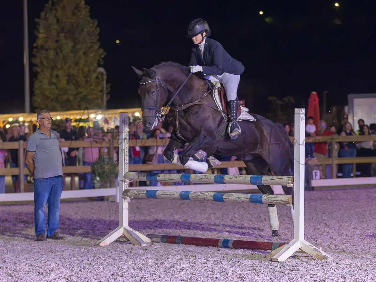 A dark brown horse jumps a striped show jumping obstacle in an equestrian arena at night, with a rider in formal equestrian attire and spectators visible in the background.
