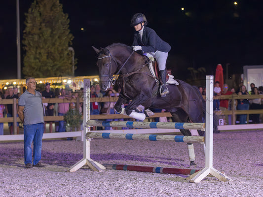 A dark brown horse jumps a striped show jumping obstacle in an equestrian arena at night, with a rider in formal equestrian attire and spectators visible in the background.