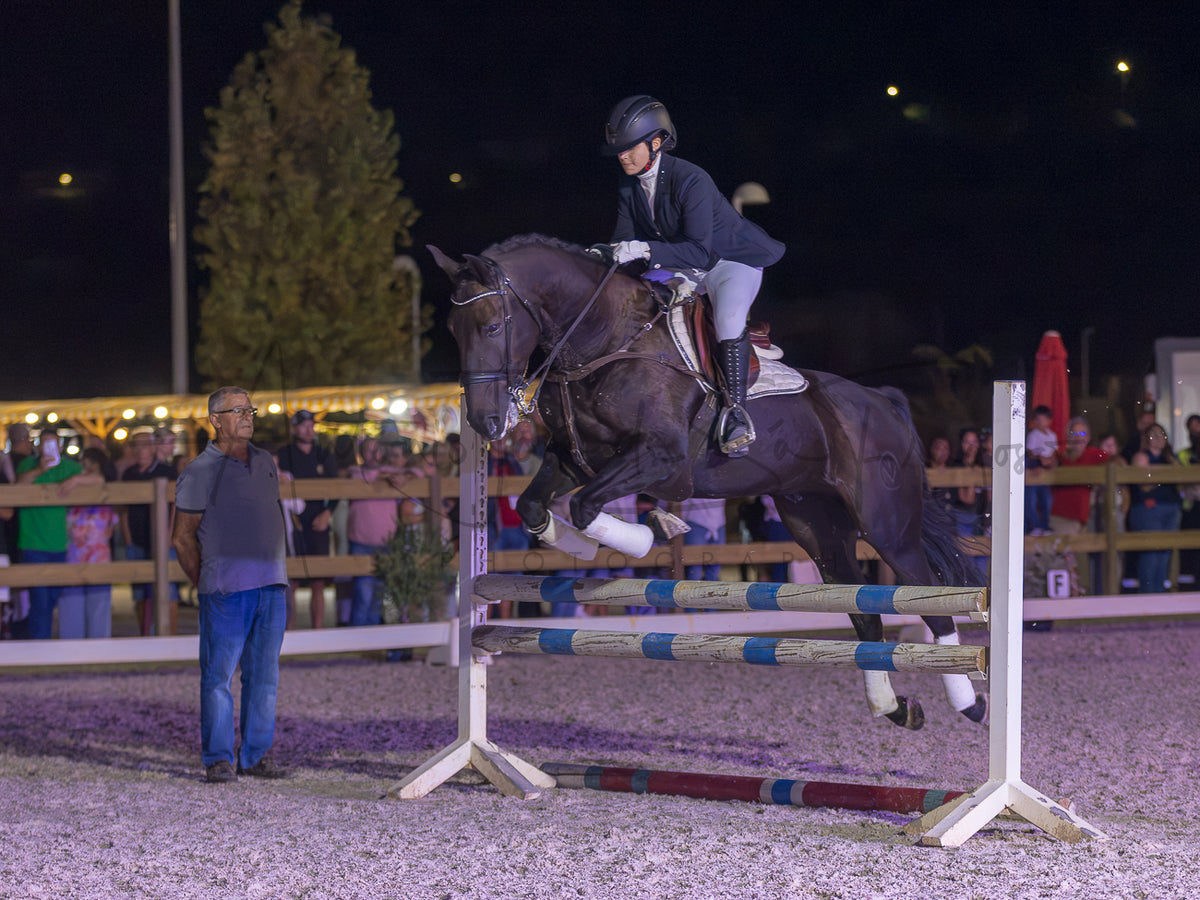 A dark horse jumps a white and blue show jumping fence in an equestrian arena at night, with a rider in equestrian attire on the horse and spectators visible in the background.