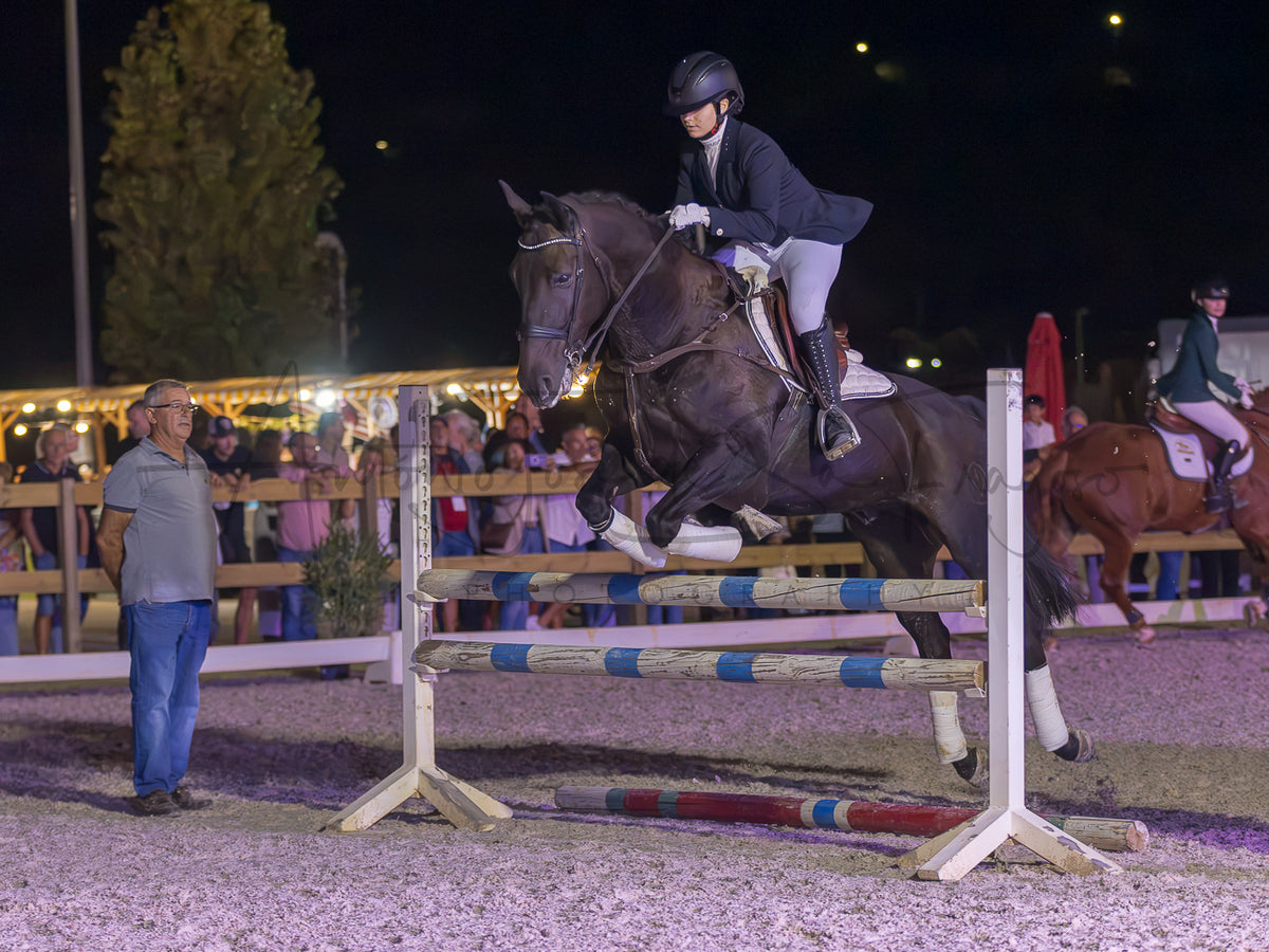 A dark horse jumps an equestrian obstacle at night in an outdoor riding arena, with a rider on board, a judge standing nearby, and other horses and spectators in the background.