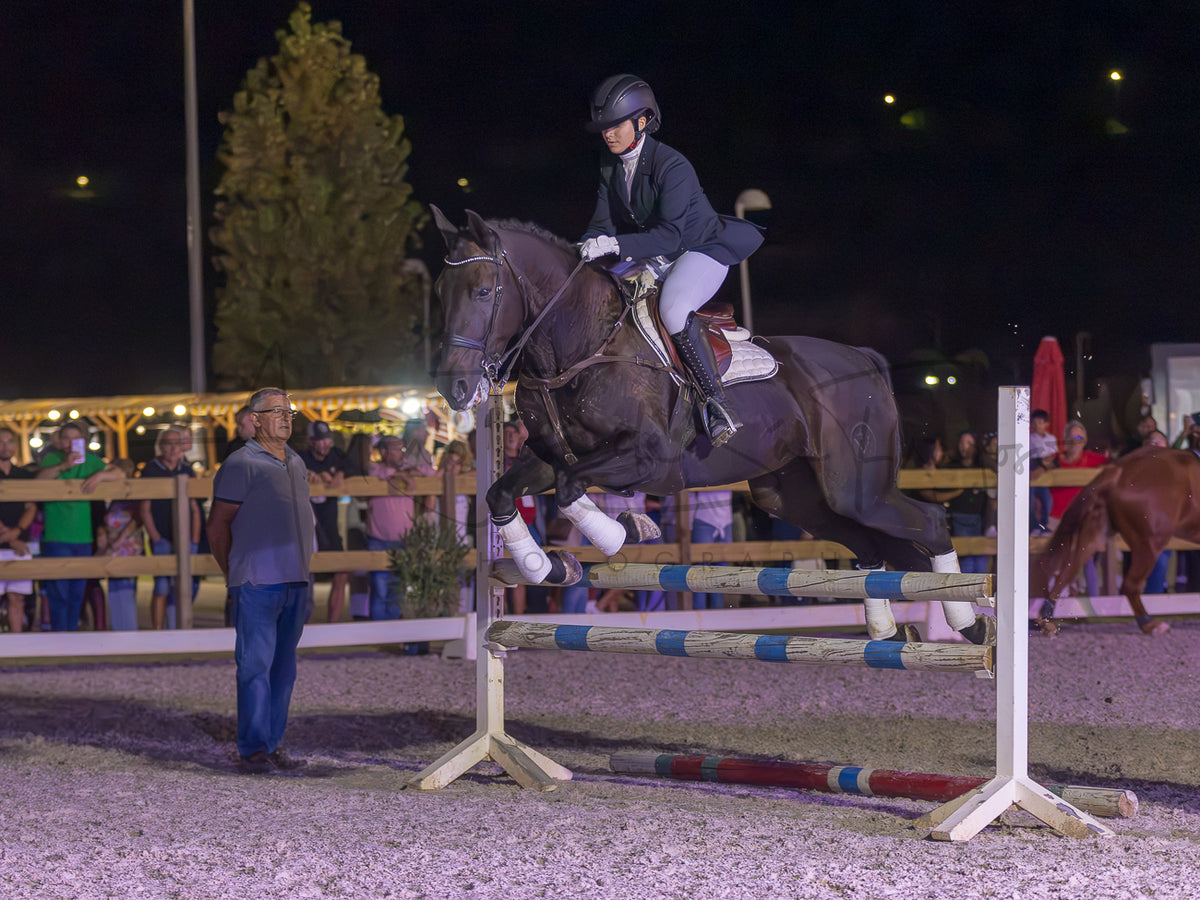 A dark brown horse jumps a white and blue show jumping obstacle in an outdoor night equestrian arena, with a rider in formal equestrian attire on board and spectators visible in the background.