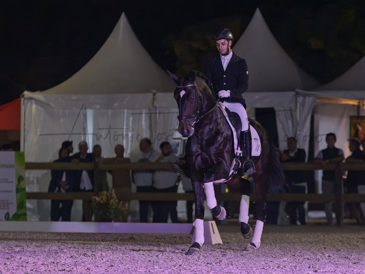 Horse Riding School - Dressage Single